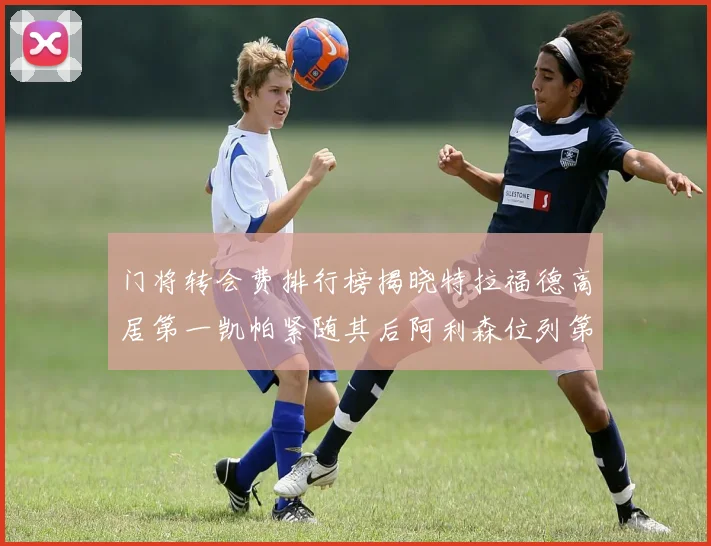 门将转会费排行榜揭晓特拉福德高居第一凯帕紧随其后阿利森位列第三