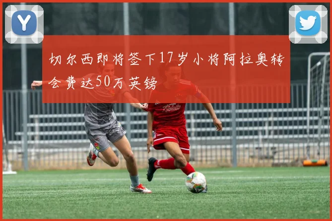 切尔西即将签下17岁小将阿拉奥转会费达50万英镑