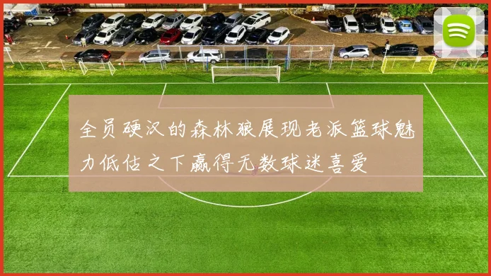 全员硬汉的森林狼展现老派篮球魅力低估之下赢得无数球迷喜爱